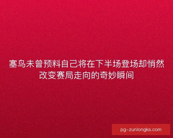 塞鸟未曾预料自己将在下半场登场却悄然改变赛局走向的奇妙瞬间